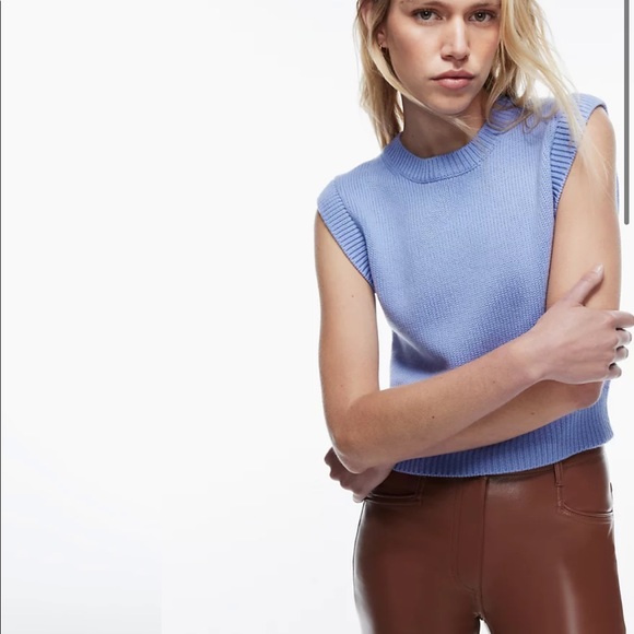Aritzia Tops - Aritzia Wilfred top